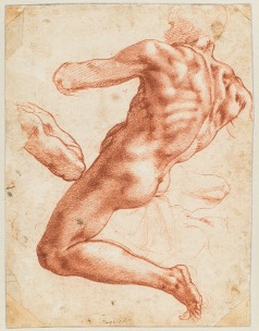 michelangelo